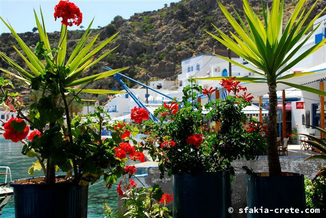 Photo report of a trip around Sfakia, Crete, May 2006